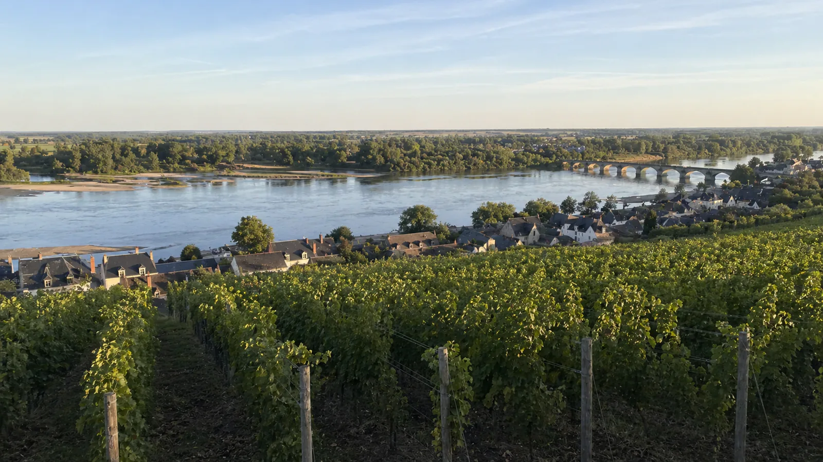 Loire Valley Wine: Regions, Grapes, and What to Buy
